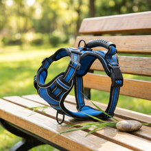 Muddli TrailLock™ No-Pull Adventure Harness