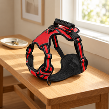 Muddli TrailLock™ No-Pull Adventure Harness