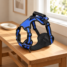 Muddli TrailLock™ No-Pull Adventure Harness