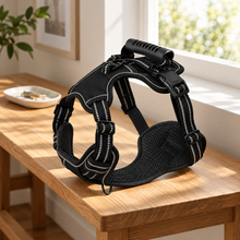 Muddli TrailLock™ No-Pull Adventure Harness