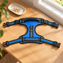 Muddli TrailLock™ No-Pull Adventure Harness