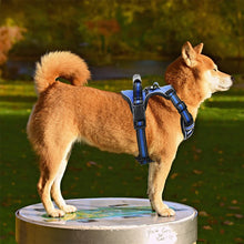 Harnais pour chien anti-traction respirant réfléchissant avec poignée pour petits et grands chiens, idéal pour les promenades et l'entraînement en extérieur